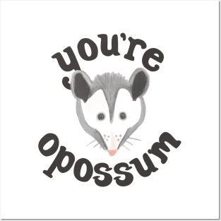 You're Opossum Posters and Art